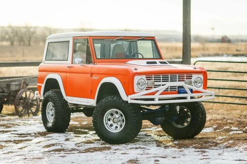 1971 ford bronco 24 x36 - bronco,